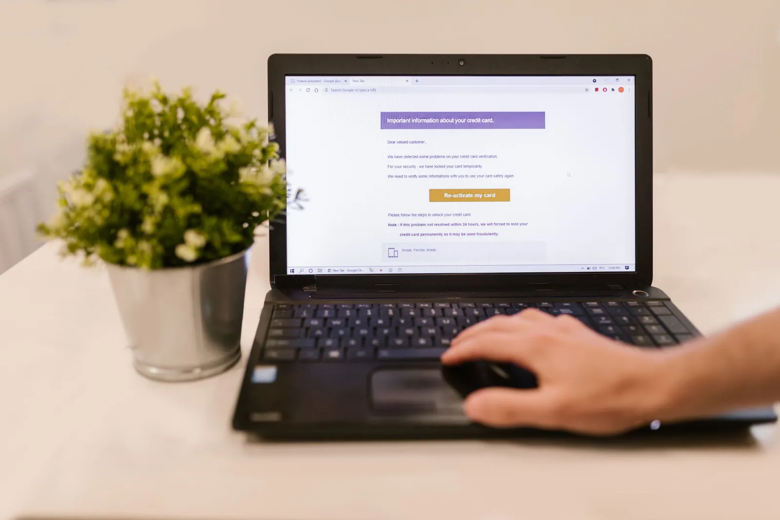 Person reading an email on a laptop at a desk beside a potted plant